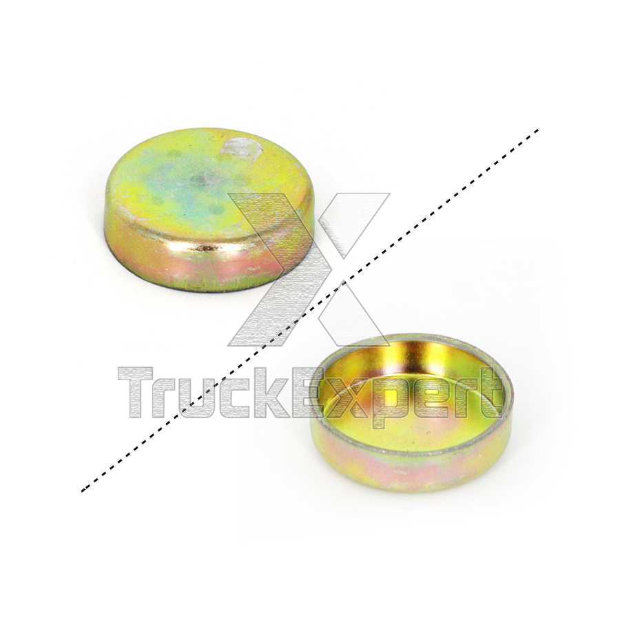 ЗАГЛУШКА.ГБЦ DAF XF95 Ø32