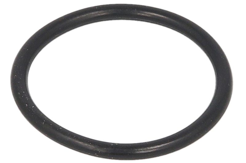 УЩІЛЬНЮЮЧЕ КІЛЬЦЕ СТАКАНЧИКА ФОРСУНОК DAF