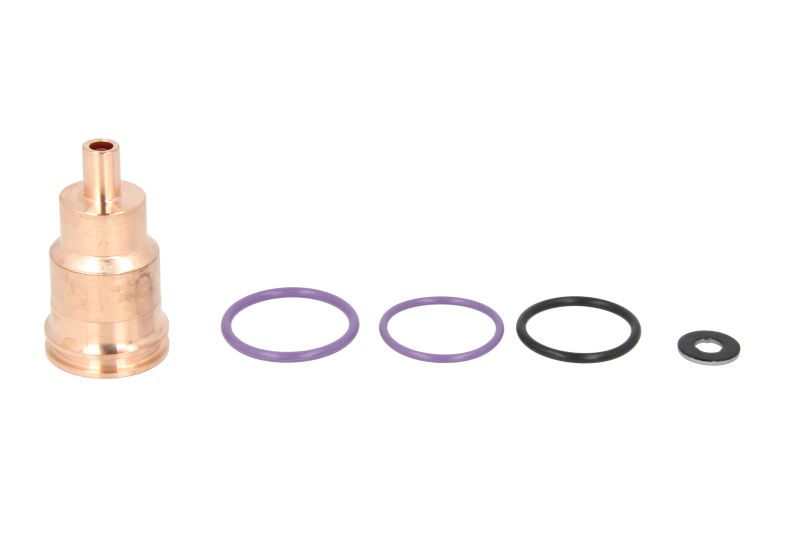 СТАКАНЧИК ПІД ФОРСУНКУ + ПОВНИЙ КОМПЛЕКТ РЕЗИНОК RENAULT DXI12 / D12