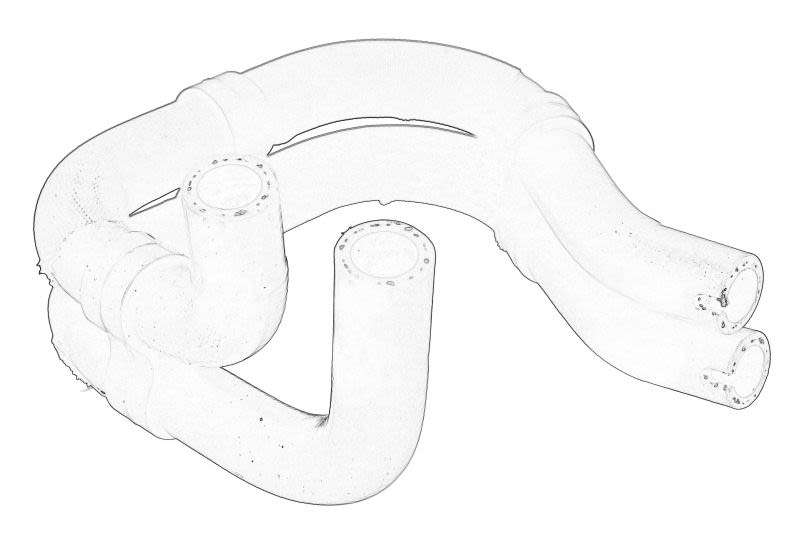 Патрубки пічки здвоєні DAF XF 106