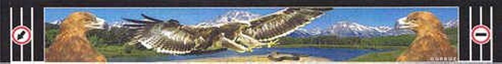 БРИЗГОВИК МІТЛА "ОРЕЛ" 350MM*2400MM